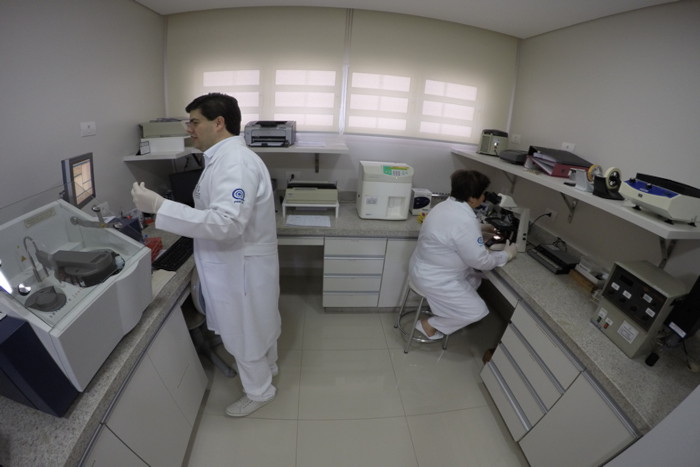Terceiro slide